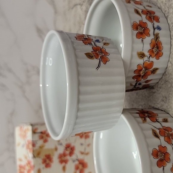 Vintage Saltera Winter Dogwood Japanese Ramekin set new in box - Picture 5 of 9